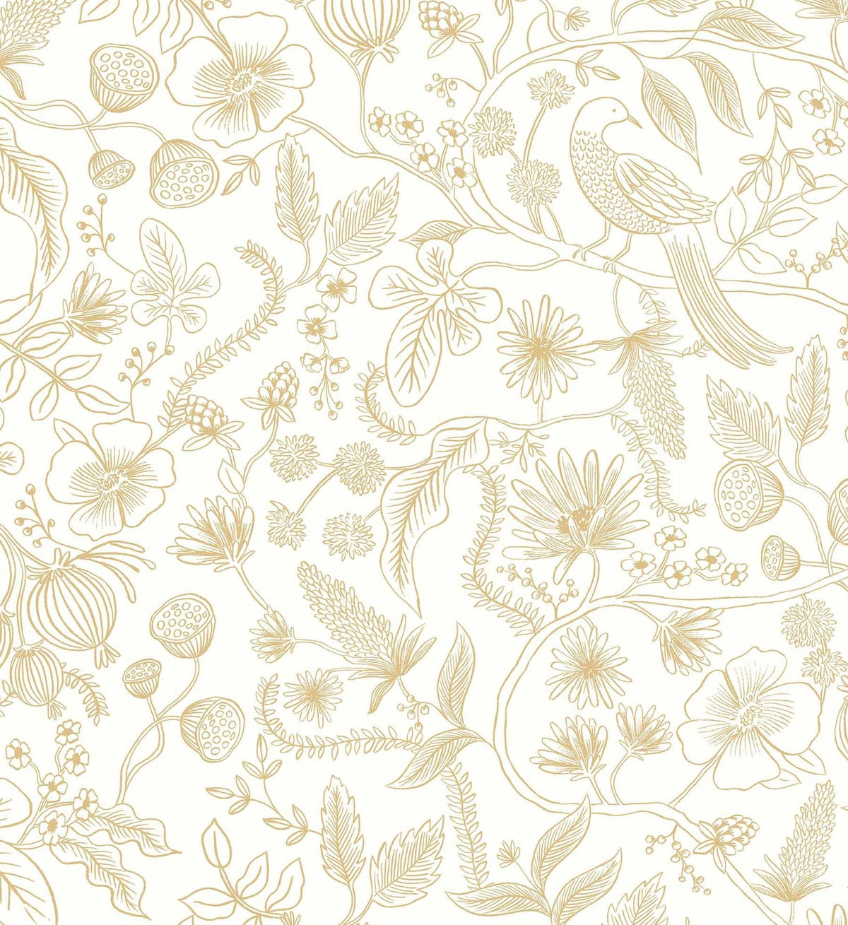 Aviary Peel & Stick Wallpaper - Metallic Gold & Cream